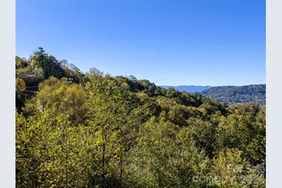 55 Bartrams Walk Drive, Asheville, NC 28804 - Photo 30