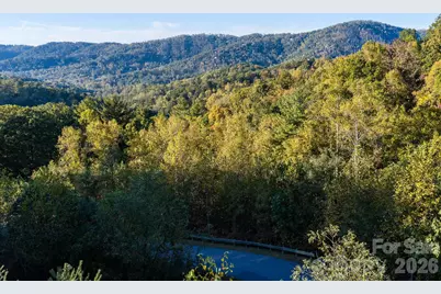 55 Bartrams Walk Drive, Asheville, NC 28804 - Photo 10