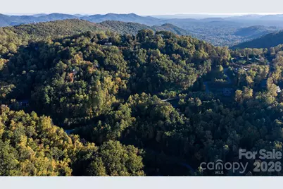 55 Bartrams Walk Drive, Asheville, NC 28804 - Photo 22