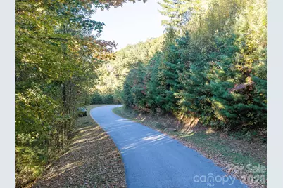 55 Bartrams Walk Drive, Asheville, NC 28804 - Photo 14