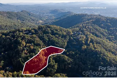 55 Bartrams Walk Drive, Asheville, NC 28804 - Photo 4