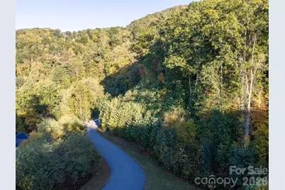 55 Bartrams Walk Drive, Asheville, NC 28804 - Photo 18