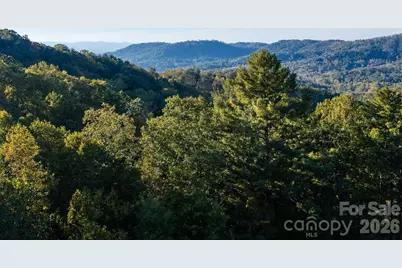 55 Bartrams Walk Drive, Asheville, NC 28804 - Photo 12