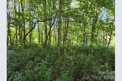 3009 Dellwood Road, Waynesville, NC 28786 - Photo 34