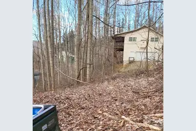 3009 Dellwood Road, Waynesville, NC 28786 - Photo 28