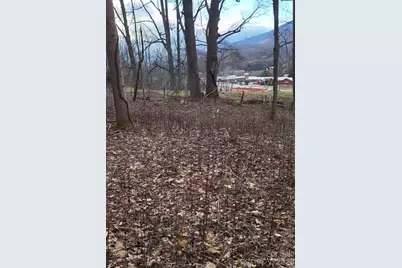 3009 Dellwood Road, Waynesville, NC 28786 - Photo 26