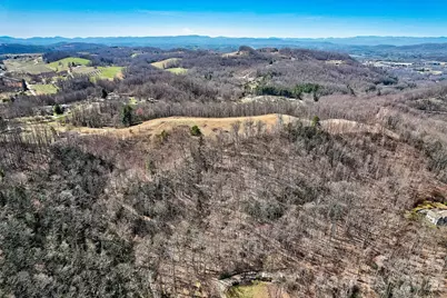 000 Little Creek Road, Hendersonville, NC 28792 - Photo 2