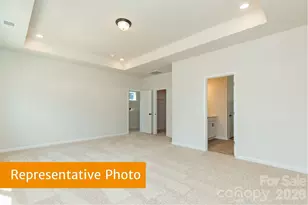 4224 Ruth Crk Ct, Charlotte, NC 28216 - Photo 12