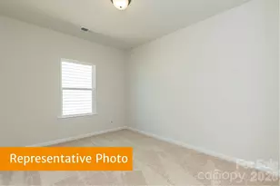 4224 Ruth Crk Ct, Charlotte, NC 28216 - Photo 20
