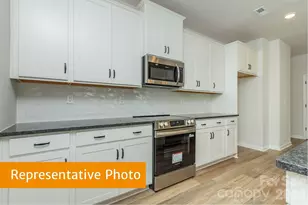 4224 Ruth Crk Ct, Charlotte, NC 28216 - Photo 6