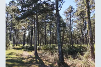 393 Red Hill Road, Wadesboro, NC 28170 - Photo 46