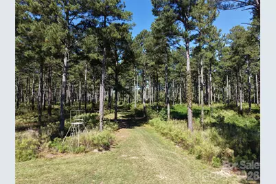393 Red Hill Road, Wadesboro, NC 28170 - Photo 34