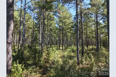 393 Red Hill Road, Wadesboro, NC 28170 - Photo 6