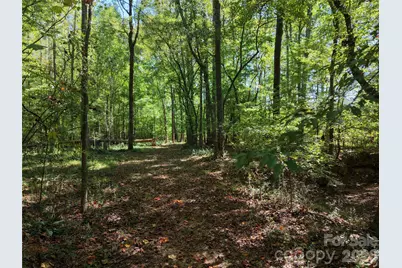 393 Red Hill Road, Wadesboro, NC 28170 - Photo 40