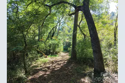 393 Red Hill Road, Wadesboro, NC 28170 - Photo 28