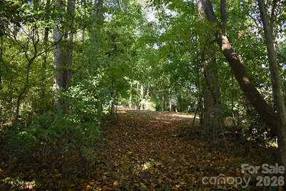 0 General Griffith Circle #29, Rutherfordton, NC 28139 - Photo 4