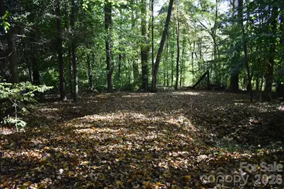 0 General Griffith Circle #29, Rutherfordton, NC 28139 - Photo 1