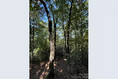 Lot 81 - R Kenmure Drive, Flat Rock, NC 28731 - Photo 16
