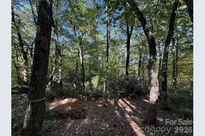 Lot 81 - R Kenmure Drive, Flat Rock, NC 28731 - Photo 18
