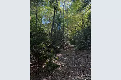 Lot 81 - R Kenmure Drive, Flat Rock, NC 28731 - Photo 4
