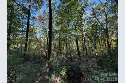 Lot 81 - R Kenmure Drive, Flat Rock, NC 28731 - Photo 22