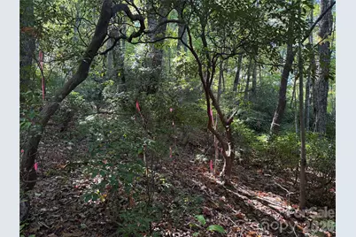Lot 81 - R Kenmure Drive, Flat Rock, NC 28731 - Photo 12