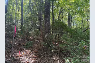 Lot 81 - R Kenmure Drive, Flat Rock, NC 28731 - Photo 8