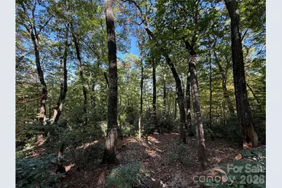 Lot 81 - R Kenmure Drive, Flat Rock, NC 28731 - Photo 28