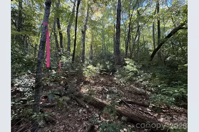 Lot 81 - R Kenmure Drive, Flat Rock, NC 28731 - Photo 32