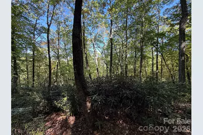 Lot 81 - R Kenmure Drive, Flat Rock, NC 28731 - Photo 24
