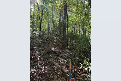 Lot 81 - R Kenmure Drive, Flat Rock, NC 28731 - Photo 6