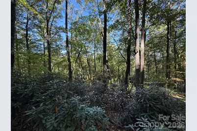 Lot 81 - R Kenmure Drive, Flat Rock, NC 28731 - Photo 1