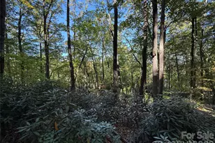 Lot 81 - R Kenmure Dr, Flat Rock, NC 28731 - Photo 1