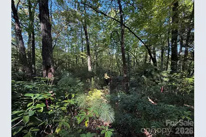 Lot 81 - R Kenmure Drive, Flat Rock, NC 28731 - Photo 30