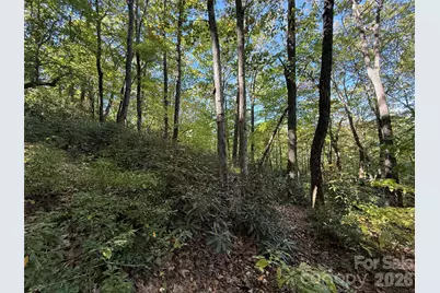 Lot 81 - R Kenmure Drive, Flat Rock, NC 28731 - Photo 26