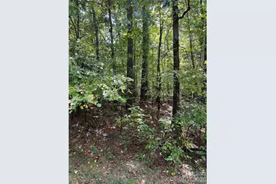 Tbd Sanctuary Lane, Lilesville, NC 28091 - Photo 1