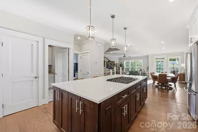 519 Griffith Village Lane, Davidson, NC 28036 - Photo 4