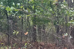 Lot 120 Friar Ct, North Wilkesboro, NC 28659 - Photo 1