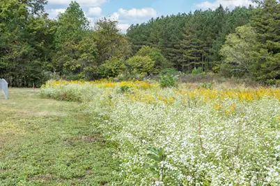 106 Ol Field Court, Lawndale, NC 28090 - Photo 32