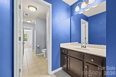 1677 Fairntosh Drive, Fort Mill, SC 29715 - Photo 28