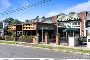 429 Pecan Ave, Charlotte, NC 28204 - Photo 28