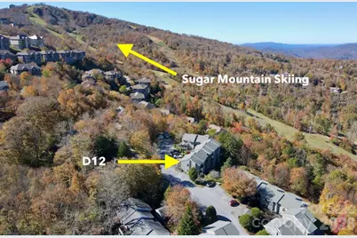 367 Skyleaf Drive #D12, Sugar Mountain, NC 28604 - Photo 26