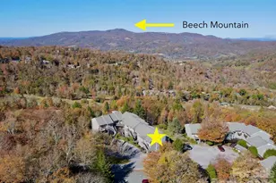 367 Skyleaf Dr, Sugar Mountain, NC 28604 - Photo 22