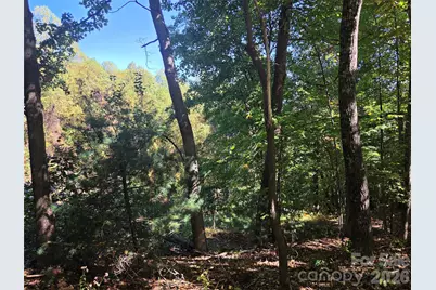 29 Elk Ridge Road #EH 29, Ferguson, NC 28624 - Photo 4