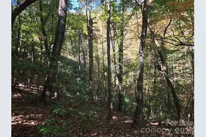 29 Elk Ridge Road #EH 29, Ferguson, NC 28624 - Photo 8