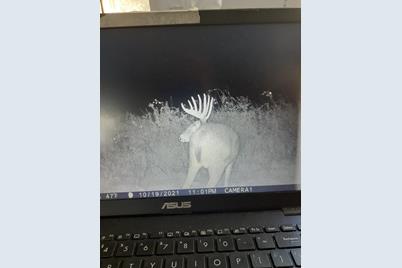 Xxxx Co Rd S, Emerald, WI 54013 - Photo 1