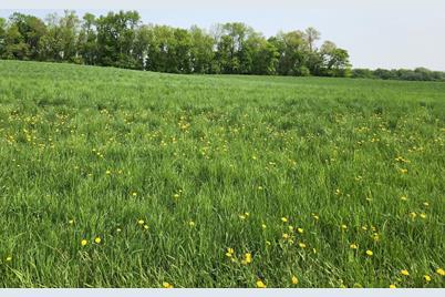 Tbd 188th Avenue, Wakefield Township, MN 56368 - Photo 1