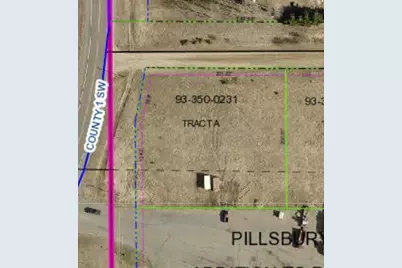 Tract A Palomino, Pillager, MN 56473 - Photo 1