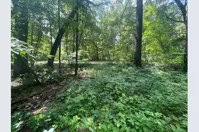 Tbd Gumwood Ln, Motley, MN 56466 - Photo 1