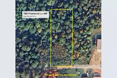 Tbd Pinewood Lane NW, Angle Inlet, MN 56711 - Photo 1